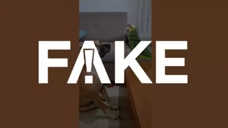 Vídeo de papagaio falando 'Tá nervoso? Vai pescar' para cachorro é FAKE! Cenas foram criadas com IA