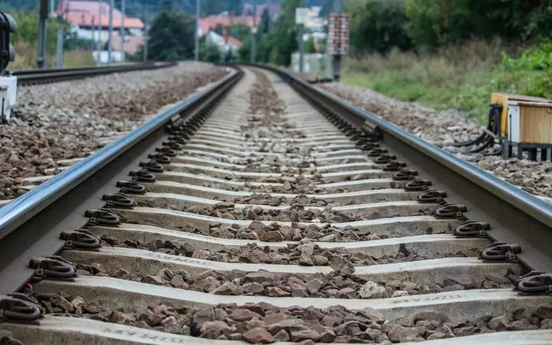 Vídeo emocionante de cachorro salvando criança de trem na Índia é FAKE: entenda o caso