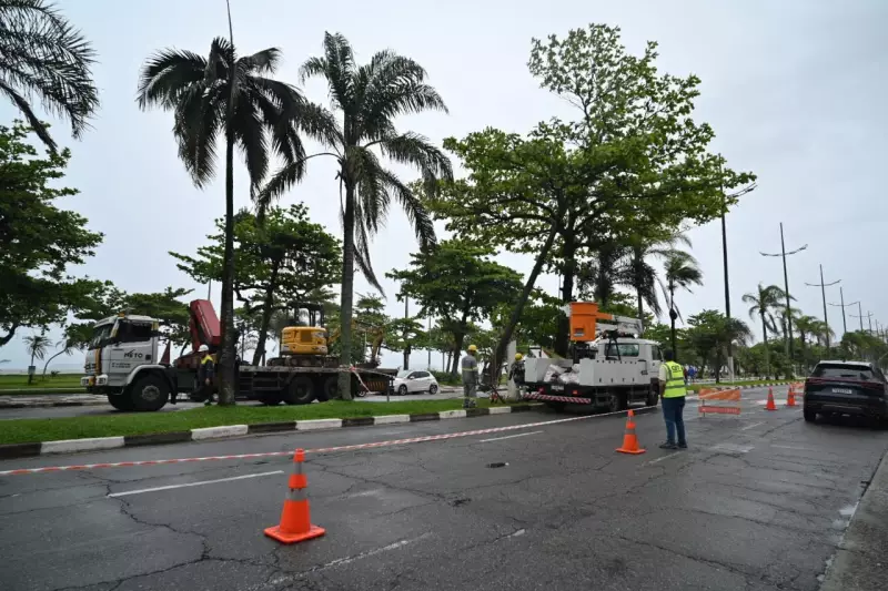 Ventos de 99 km/h devastam o litoral de SP: árvores caem, destelhos voam e caos se instala