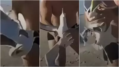 Banhista agarra gaivota em pleno voo em Cabo Frio: especialista alerta para riscos graves