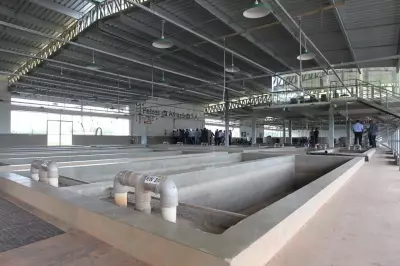 Justiça do AC Ordena Novo Leilão da Peixes da Amazônia S.A. Após Três Tentativas Frustradas