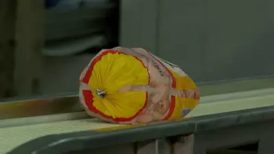 Preço do Frango Dispara: Mercado se Aproxima de Valores Antes da Gripe Aviária