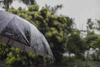 Previsão do Tempo em SP: Chuva Chega Nesta Quarta (22) e Altera Rotina na Capital