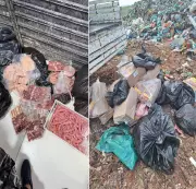 Ação da Vigilância Sanitária em Campos: 890 kg de produtos impróprios apreendidos e açougue interditado