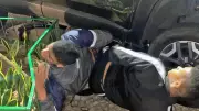 Assalto a banco no Jardim Botânico: bandidos usam explosivos e reféns em roubo cinematográfico no Rio
