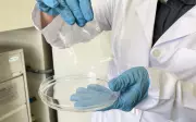 Biocurativo 3D Revoluciona Tratamento de Feridas Crônicas e Pode Atingir 5 Milhões no Brasil