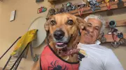 Cachorra Vira Companheira de Corrida de Atleta de 61 Anos e Conquista Pódios no Interior de SP