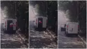 Cadela é atropelada e morre após dono abandonar ela e filhotes na Grande SP