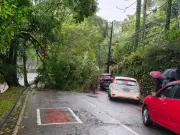 Chuvas Intensas em Petrópolis: 18 Ocorrências Registradas e Alerta Mantido
