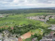 Cidades Verdes: Estudo Revela Potencial Oculto de Regeneração Florestal nas Bordas Urbanas do Brasil