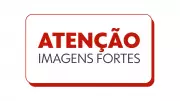 Cão é encontrado morto e pendurado em árvore em MT: caso choca e investigação busca responsáveis