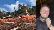 Cobra Mais Rápida do Brasil Ataca Biólogo em Resgate de Alto Risco; Veja o Vídeo Impressionante