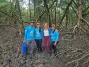 COP30 na Amazônia: Série Especial Revela Soluções Inovadoras para as Mudanças Climáticas