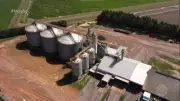 Crise nos Portos: Produtores de MT Estocam Grãos com Medo de Prejuízos Milionários
