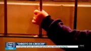 Direito de Crescer: Série Especial Revela os Cuidados Essenciais Para Proteger a Infância em Santa Catarina