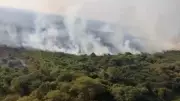 Fogo na Amazônia: O Alerta Vermelho que Consome Nossa Floresta