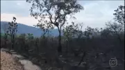 Fogo que Protege: Como Queimadas Controladas Estão Salvando a Chapada dos Veadeiros de Incêndios Devastadores