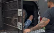 Foragido por Homicídio e Tráfico é Capturado na Bahia Após Duas Fugas Ousadas da Polícia
