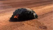 Fragmentos de Foguete Chinês São Encontrados em Chamas no Interior da Austrália