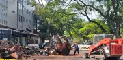 Gameleira Centenária da Asa Norte é Removida Após Incêndio Criminoso e Disputa Judicial no DF