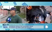 Heróis de Quatro Patas: Bombeiros Realizam Resgate Emocionante de Cachorro em Bueiro em Manaus