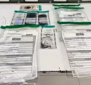 Idoso preso em MG: esquema de CNHs falsas chegava a R$ 35 mil por documento | G1