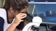 Jovens Cientistas de Campinas Brilham: Conheça os Projetos Vencedores de Prêmio Nacional