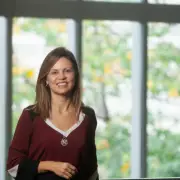 Leilões Verdes: Brasil Arrecada R$ 4,6 Bi em Projetos Sustentáveis que Transformam a Economia