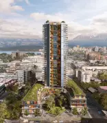 Madeira: O Material do Futuro que Está Revolucionando a Construção Sustentável