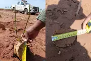 Multa de R$ 30 mil aplicada por derrubada ilegal de 100 árvores nativas em Teodoro Sampaio