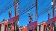 Ouriço tem dia de aventura e fica preso em fios de telefonia em Bento Gonçalves; veja o resgate