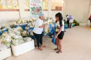 PAA leva alimentos frescos e qualidade de vida a famílias de Santarém
