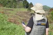 Perícia Ambiental no Paraná Acelera Combate a Crimes Contra Fauna e Flora