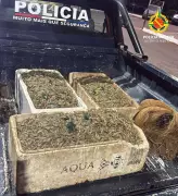 Pesca Ilegal no Lago Paranoá: Dupla é Presa com 100 kg de Camarão em Brasília