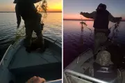 Piracema no Oeste Paulista: Multas por Pesca Ilegal Disparam 86% e Nova Temporada Começa em 1º de Novembro