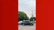 Poda de árvores em MT provoca revoada dramática: pássaros silvestres invadem fiação e prefeitura