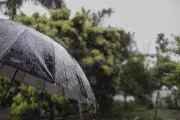 Previsão do Tempo em SP: Chuva Chega Nesta Quarta (22) e Altera Rotina na Capital