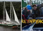 Rainbow Warrior no Pará: Greenpeace desembarca na COP30 com navio histórico