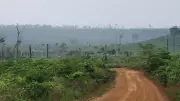 Rondônia em Chamas: O Front Mais Crítico da Destruição da Amazônia