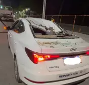 Árvore desaba sobre carro de equipe de TV no Recife; veja o vídeo impressionante
