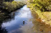 Samarco acelera reparação ambiental no Rio Doce: novo acordo impulsiona avanços em MG e ES