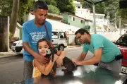 Santos inicia vacinação GRATUITA para cães com postos itinerantes; veja datas e locais