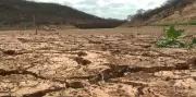 Seca Extrema no Piauí: Mais de 100 Municípios em Estado de Emergência | Crise Hídrica se Agrava