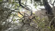 Tempestade Elétrica Assusta a Bahia: Mais de 20 Mil Raios em Apenas um Dia