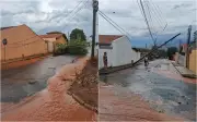Temporal de 30 minutos causa destruição em Delfinópolis: postes caem, árvores são arrancadas e casas perdem telhados