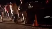 Tragédia na PE-159: Homem morre após colisão frontal com caminhão em Jucati