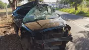 Tragédia no Trânsito: Duas Vidas Perdidas em Colisão Contra Coqueiro em Cardoso