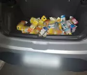 Tráfico de Aves: Trinca-ferros e Sabiás Encontrados Escondidos em Caixas de Leite em MG