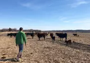 Trump Abre Mercado Americano à Carne Argentina e Gera Revolta nos Produtores Rurais dos EUA