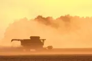 Trump Anuncia Ajuda Bilionária a Agricultores Americanos em Meio a Tensões com o Setor